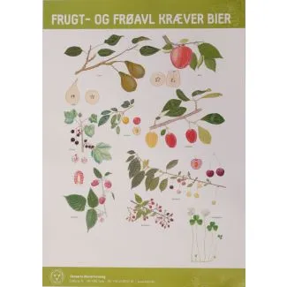 Plakat - Frugt- og frøavl kræver bier