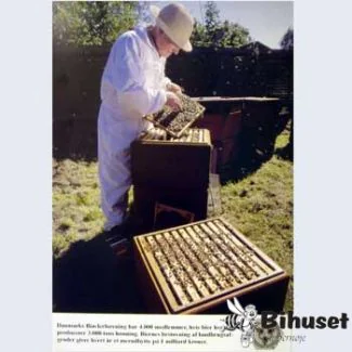 John Svarre Plakatsæt 6 Stk.