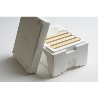 Kieler Parringsstade