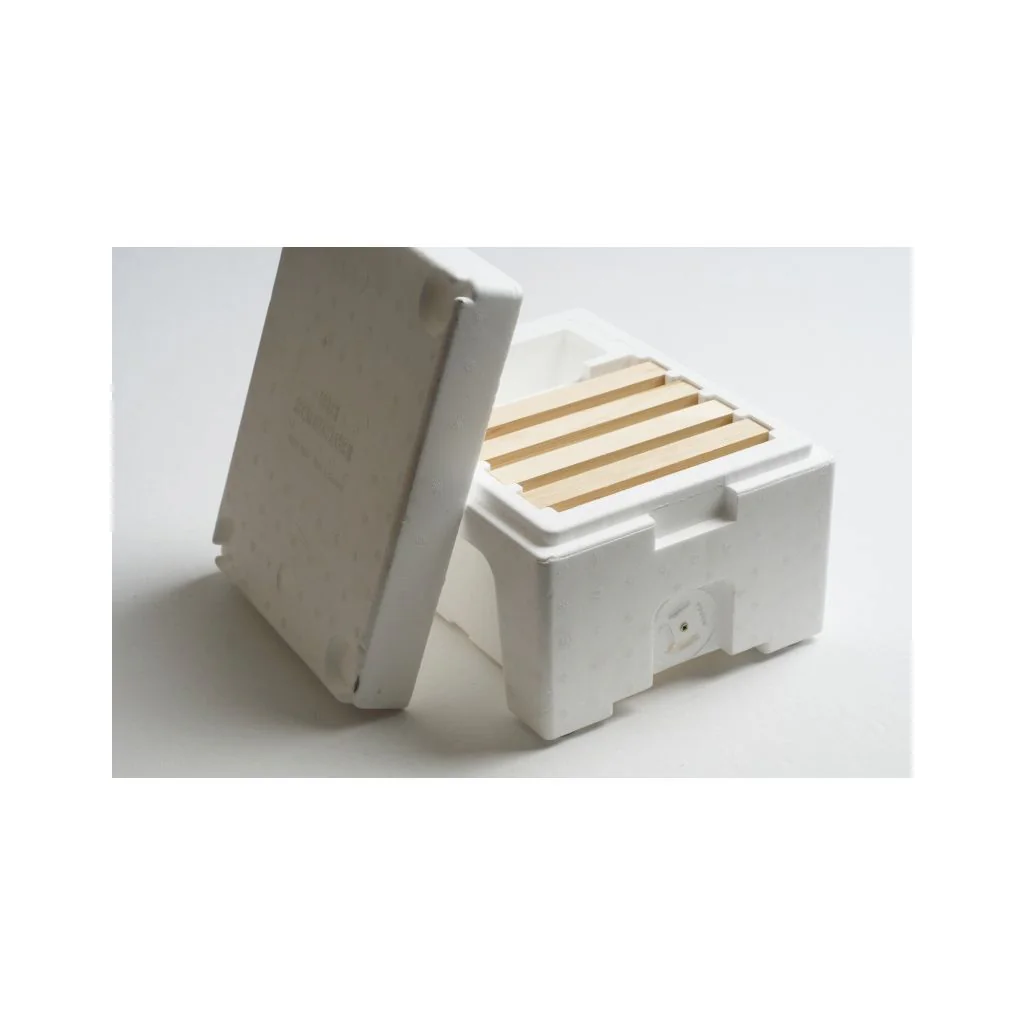 Kieler Parringsstade